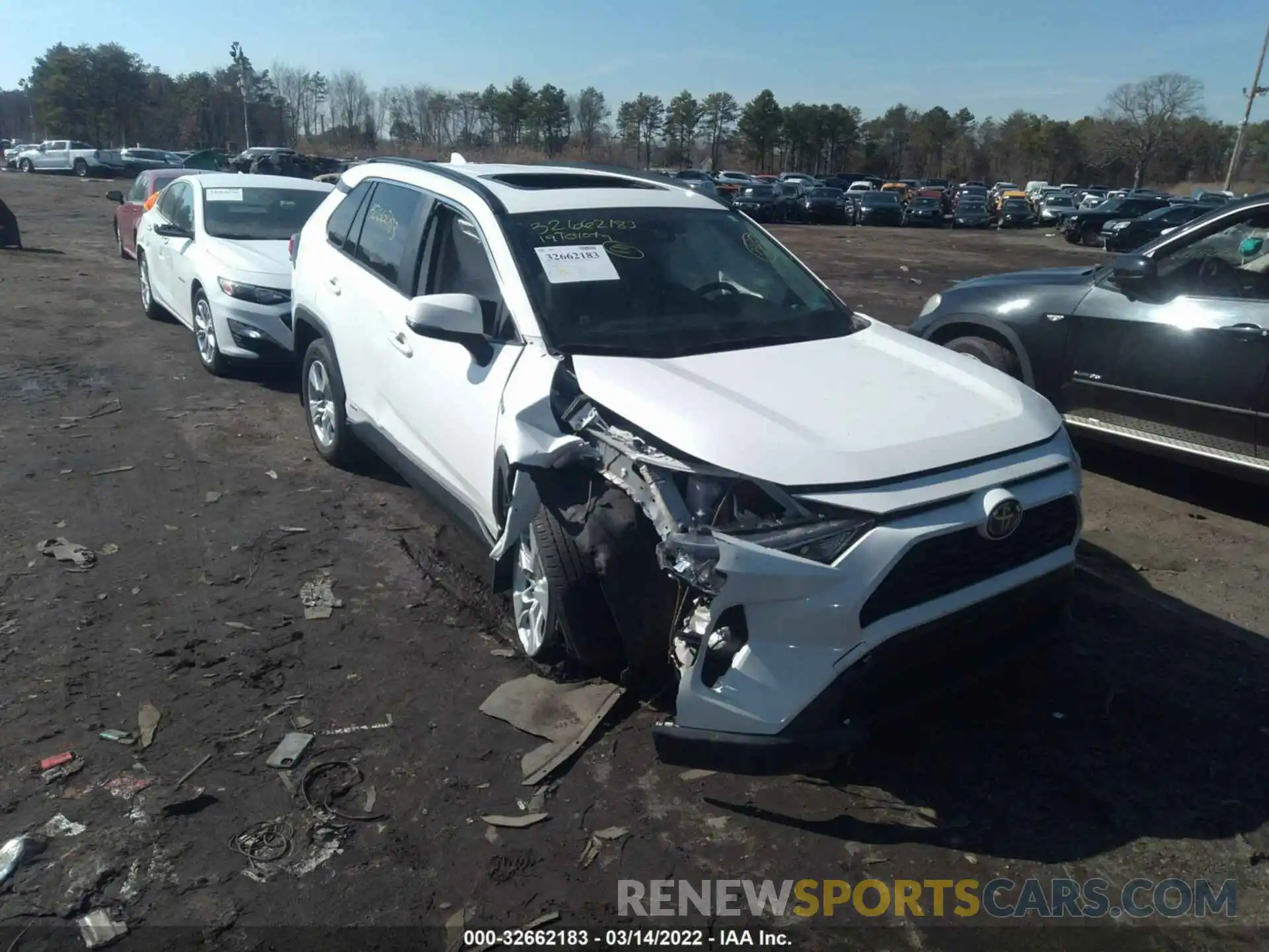 6 Photograph of a damaged car JTMRWRFV5KD013917 TOYOTA RAV4 2019