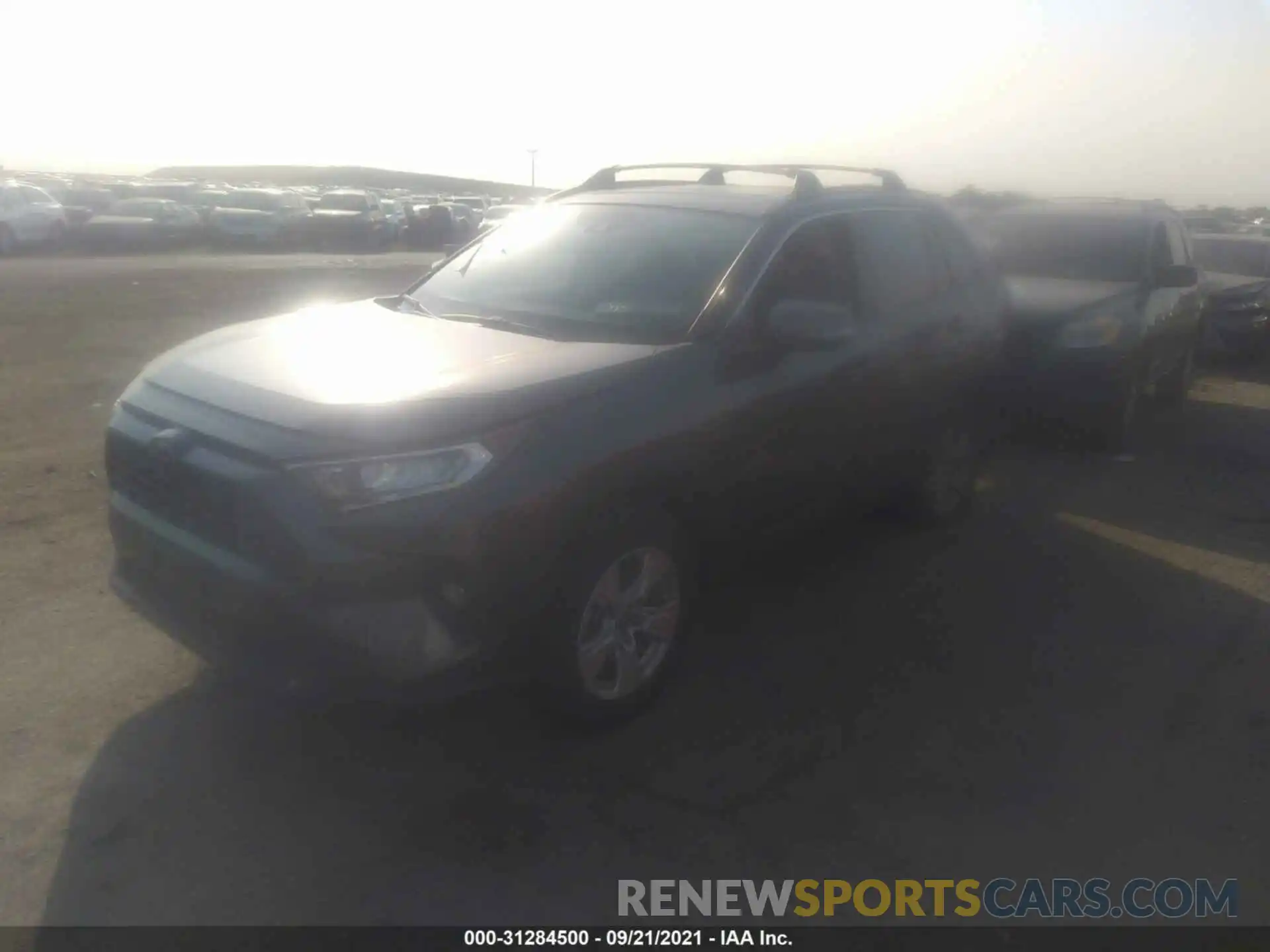 2 Фотография поврежденного автомобиля JTMW1RFV6KD504465 TOYOTA RAV4 2019