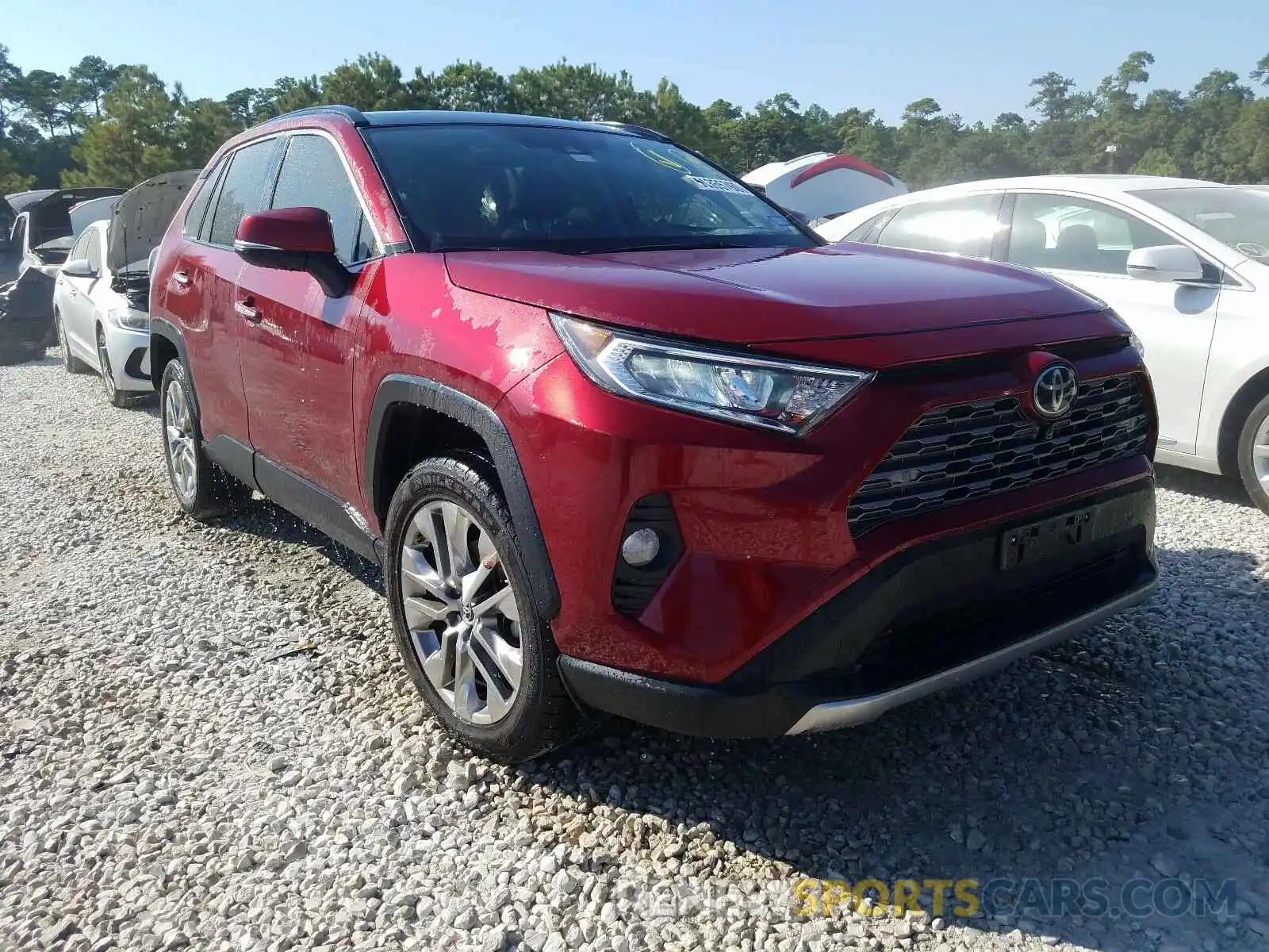 1 Photograph of a damaged car JTMY1RFV5KD513652 TOYOTA RAV4 2019