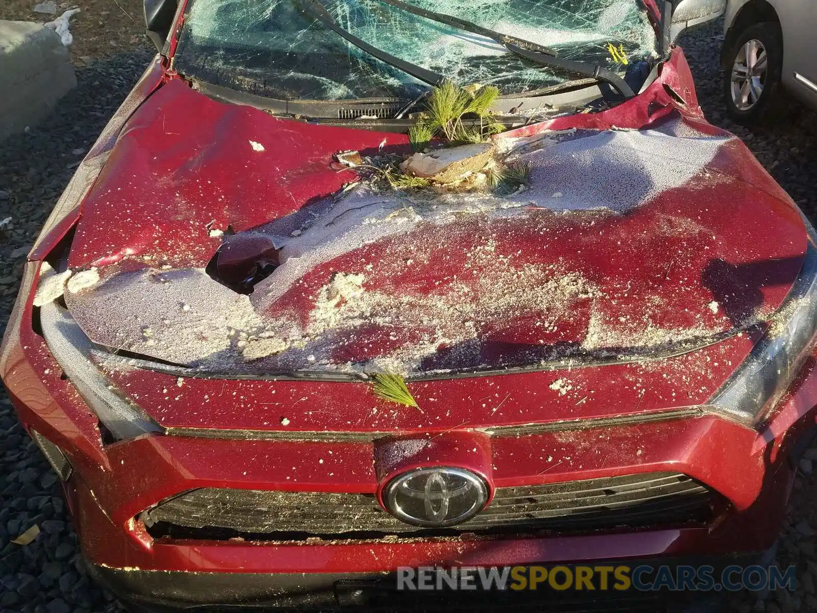 7 Photograph of a damaged car 2T3F1RFVXLC062375 TOYOTA RAV4 2020