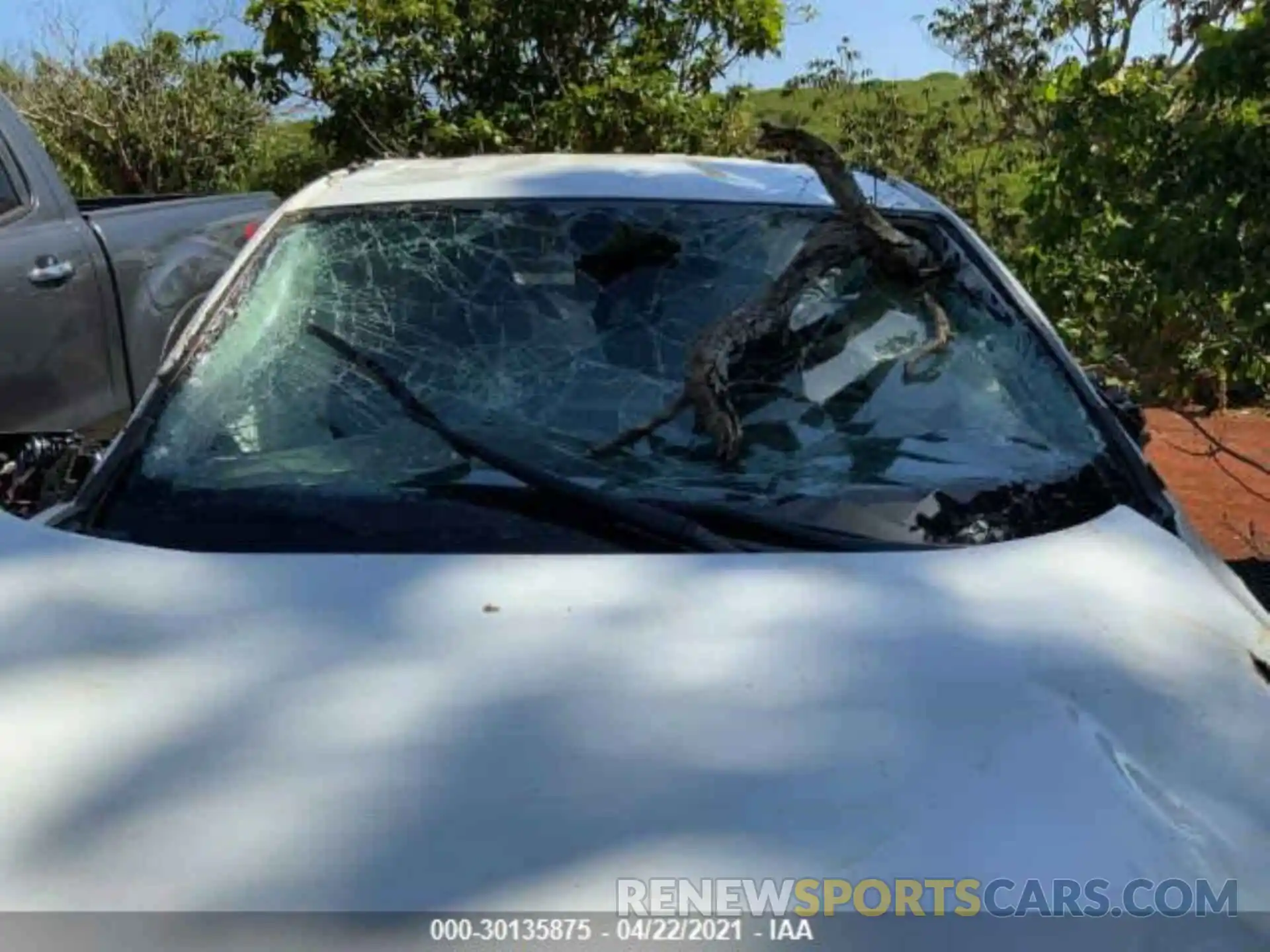 6 Photograph of a damaged car JTMK1RFV7LD057211 TOYOTA RAV4 2020