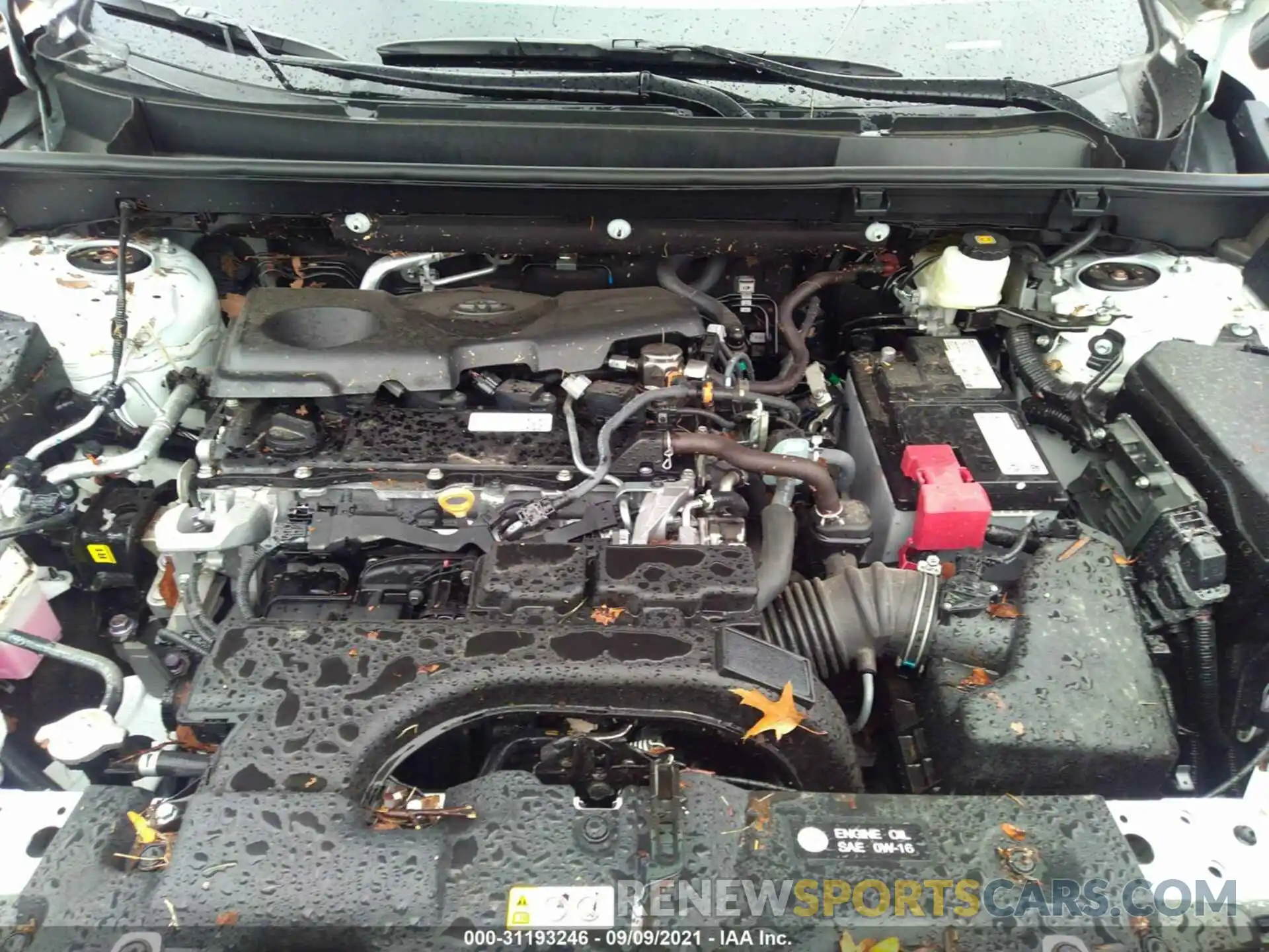 10 Фотография поврежденного автомобиля 2T3A1RFV0MW165203 TOYOTA RAV4 2021