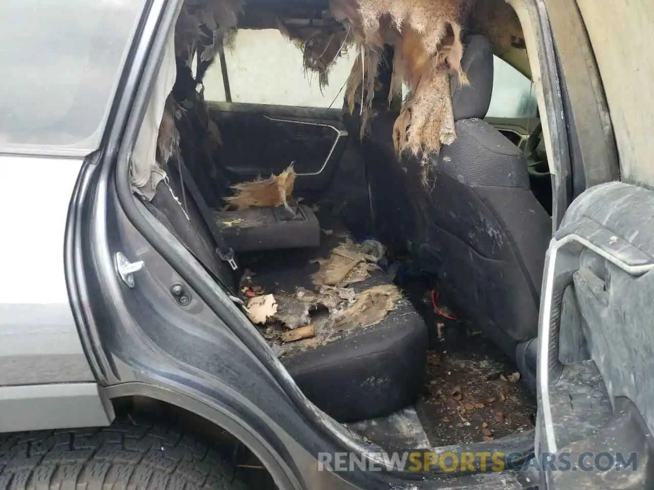 6 Photograph of a damaged car 2T3H1RFV3MC111605 TOYOTA RAV4 2021