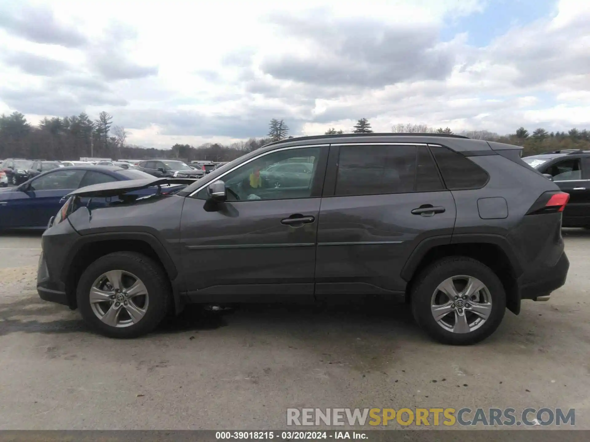 14 Photograph of a damaged car 2T3P1RFV4NC294378 TOYOTA RAV4 2022