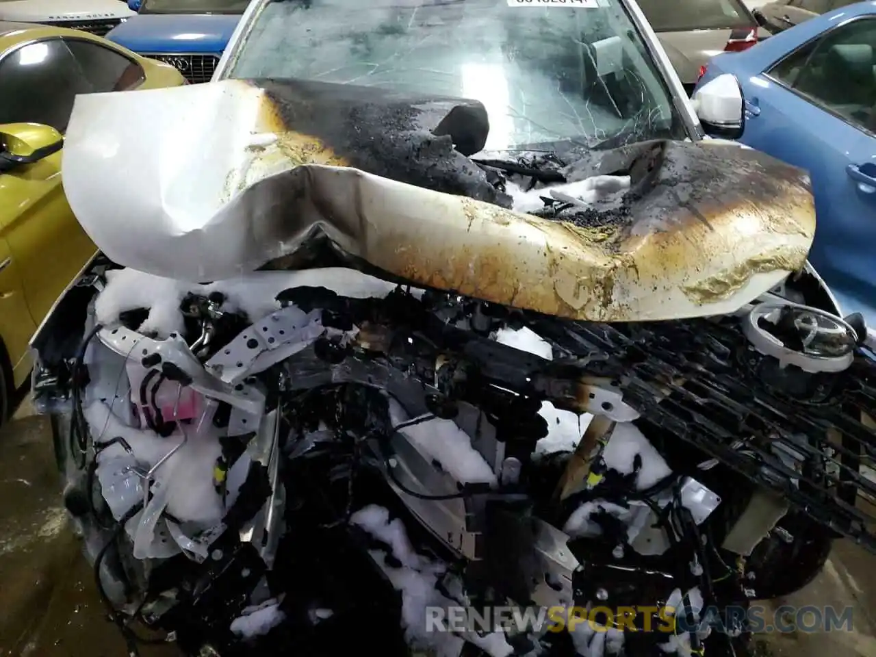 12 Photograph of a damaged car 2T3R1RFV2RW412392 TOYOTA RAV4 2024