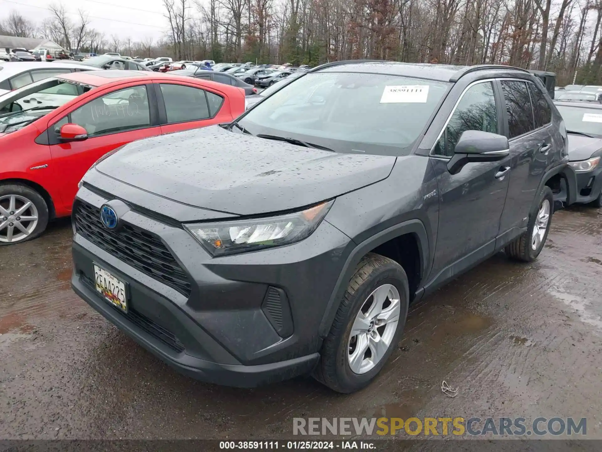 2 Photograph of a damaged car 2T3MWRFV9KW036842 TOYOTA RAV4 HYBRID 2019