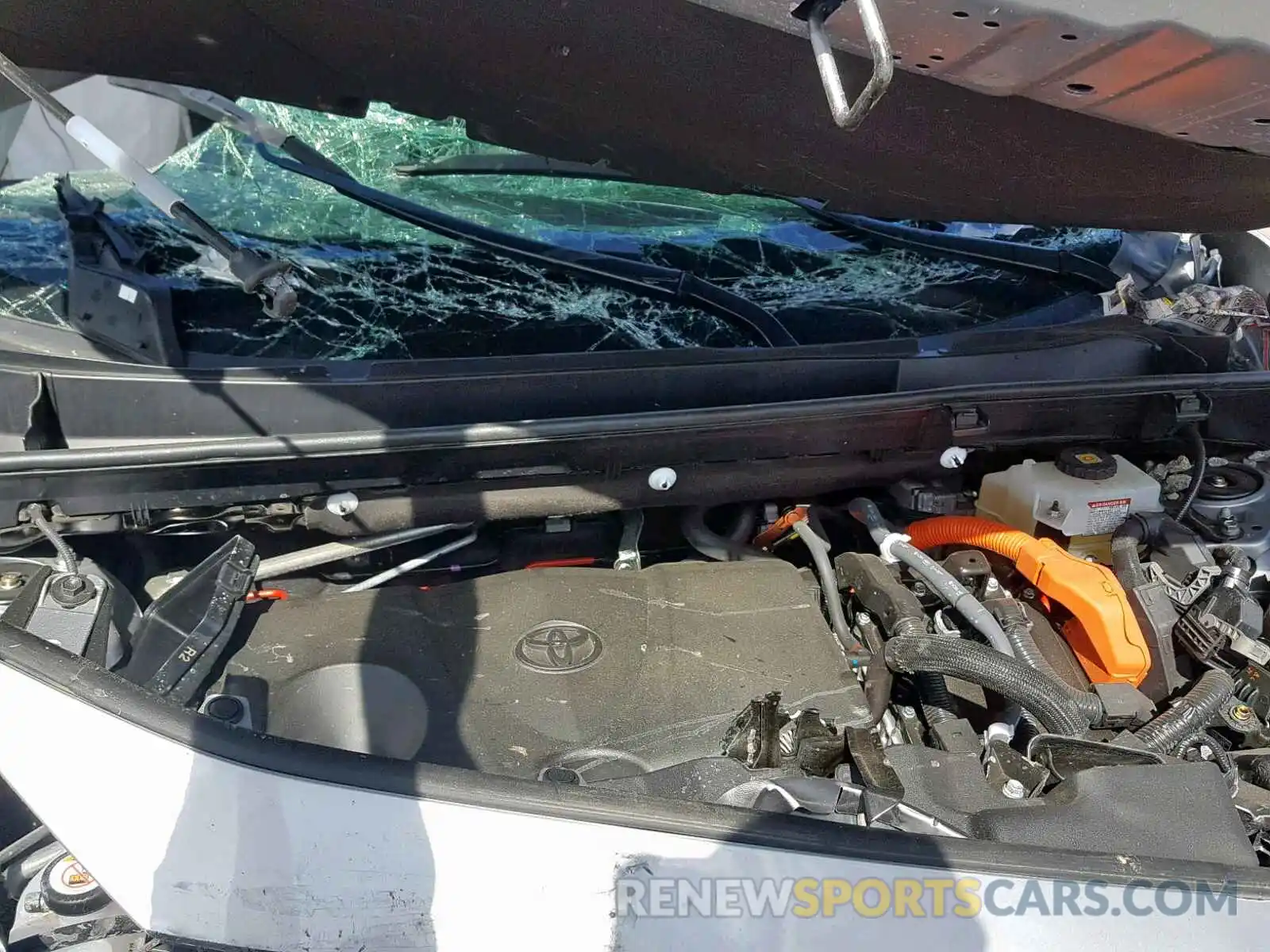 7 Photograph of a damaged car 2T3MWRFV2KW002855 TOYOTA RAV4 LE 2019