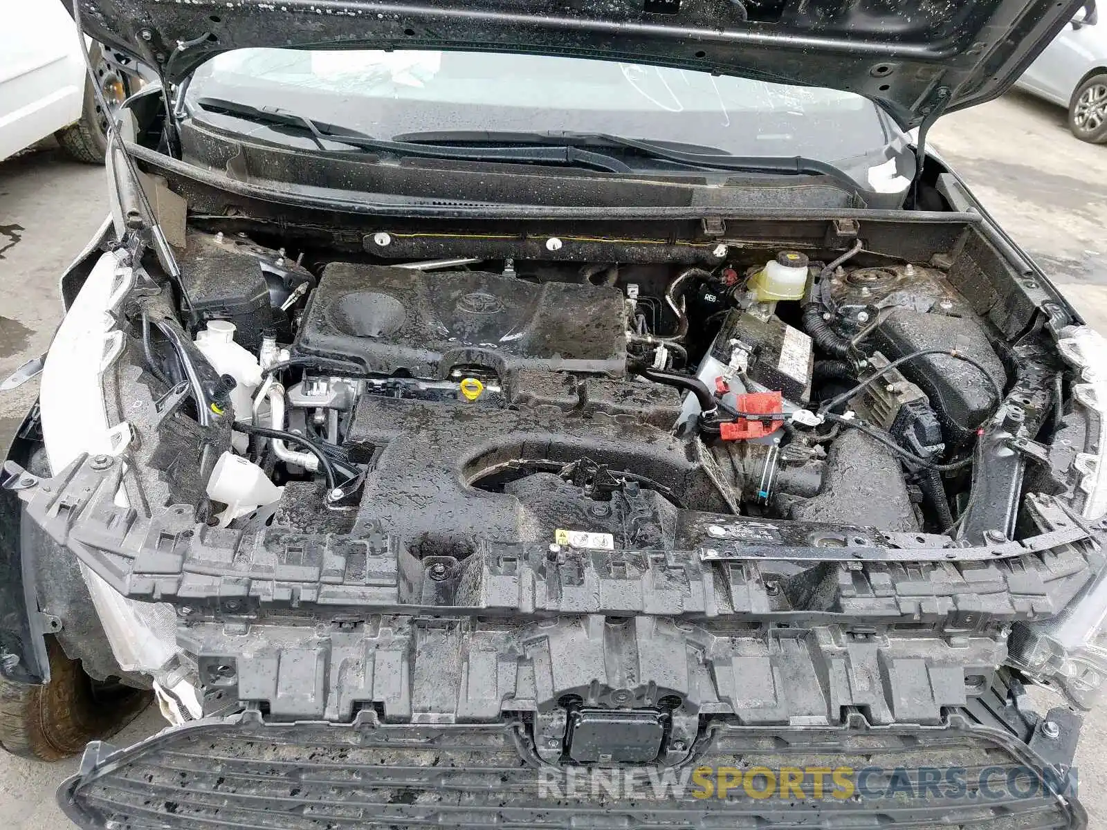 7 Фотография поврежденного автомобиля JTMH1RFV5KD505101 TOYOTA RAV4 LE 2019