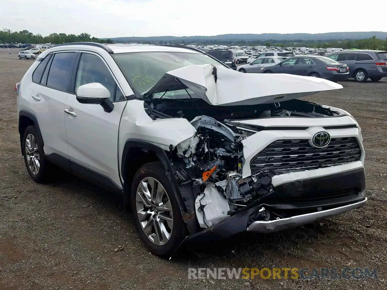 1 Photograph of a damaged car JTMN1RFV6KD511525 TOYOTA RAV4 LIMIT 2019