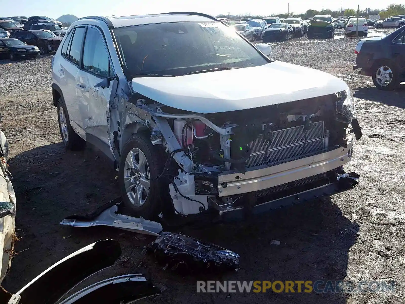 1 Photograph of a damaged car 2T3RWRFV4KW034289 TOYOTA RAV4 XLE 2019