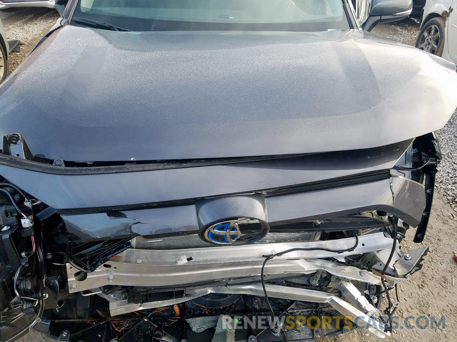 7 Фотография поврежденного автомобиля 2T3RWRFV5KW022409 TOYOTA RAV4 XLE 2019