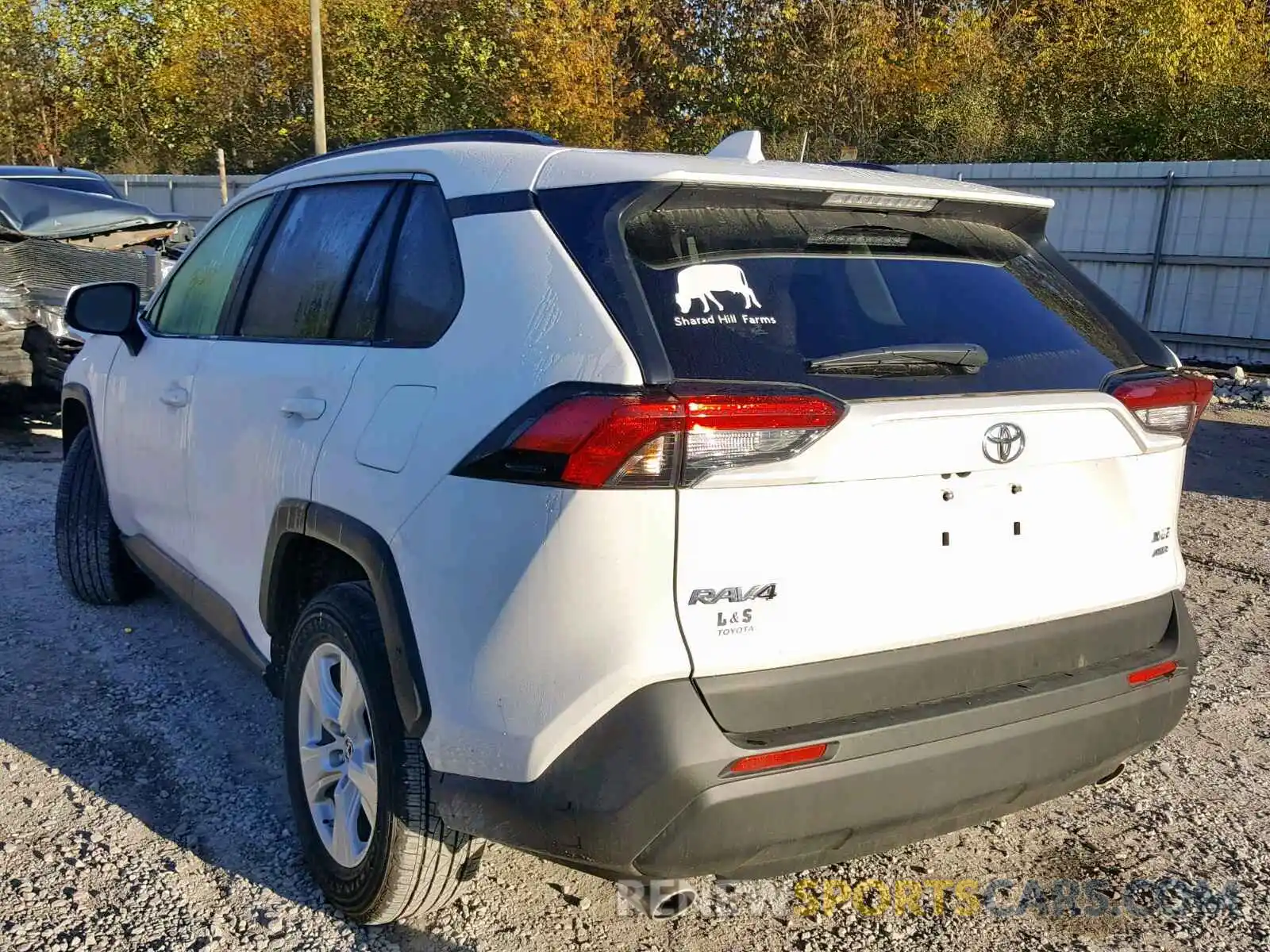 3 Photograph of a damaged car JTMP1RFV0KD028752 TOYOTA RAV4 XLE 2019