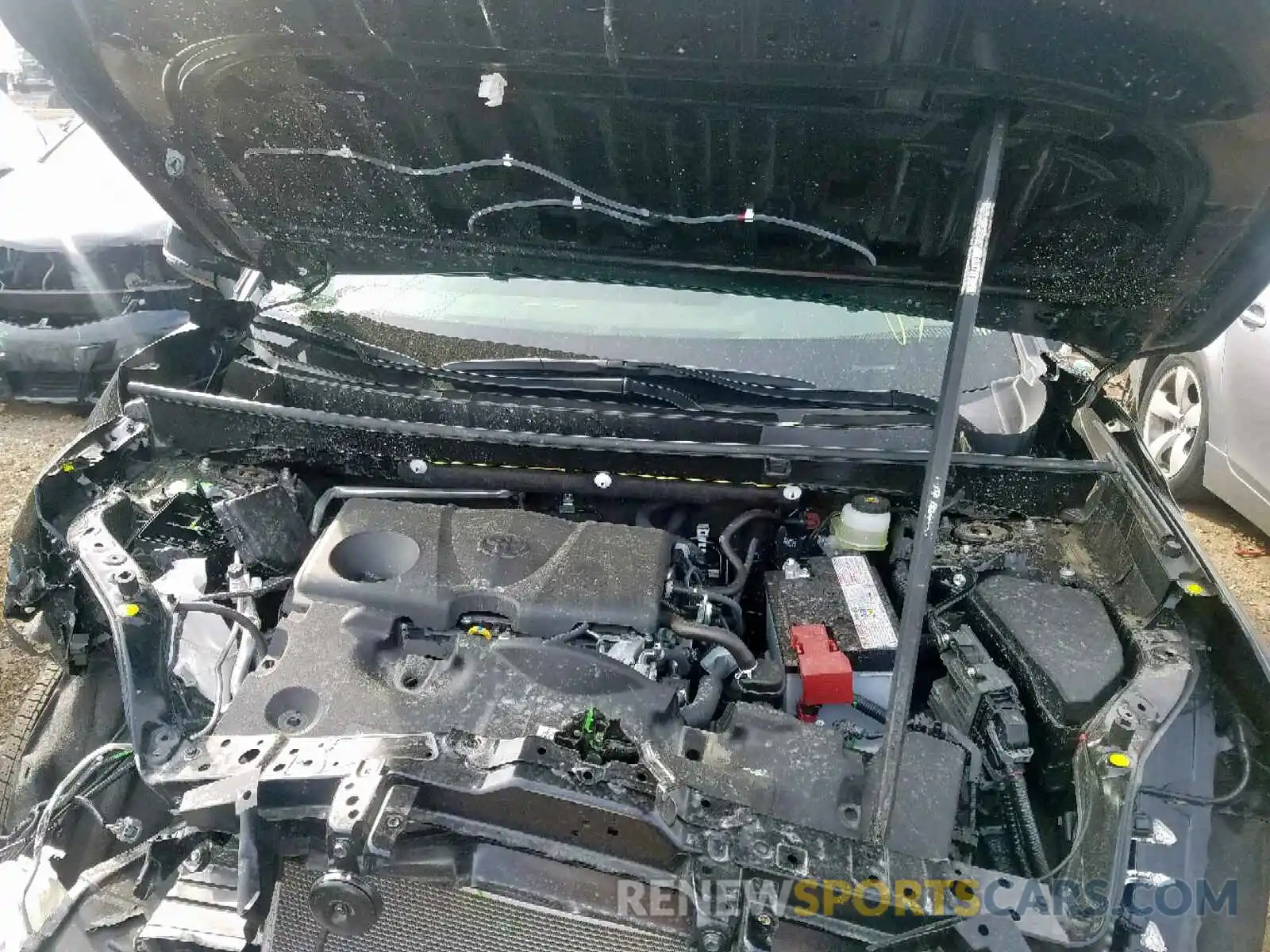 7 Photograph of a damaged car JTMP1RFV7KD505340 TOYOTA RAV4 XLE 2019