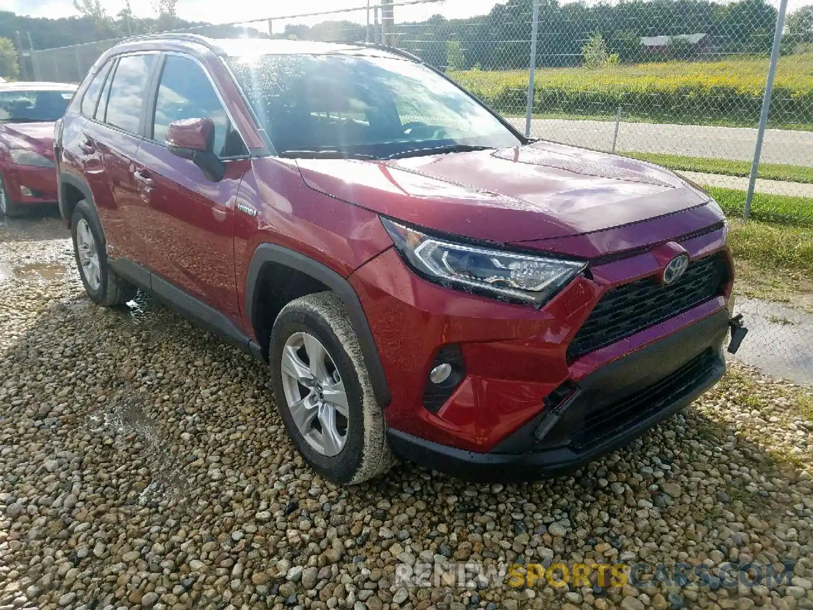 1 Фотография поврежденного автомобиля JTMRWRFV0KD501656 TOYOTA RAV4 XLE 2019