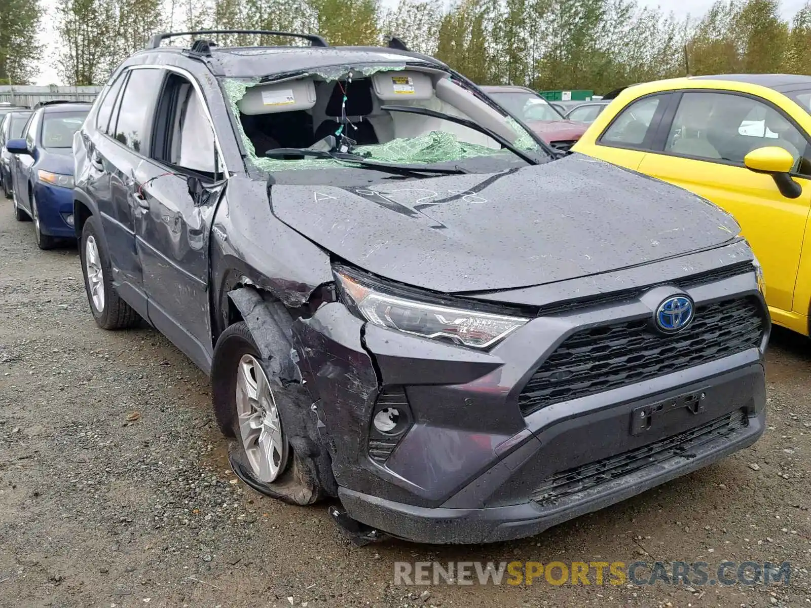 1 Photograph of a damaged car JTMRWRFVXKD002850 TOYOTA RAV4 XLE 2019