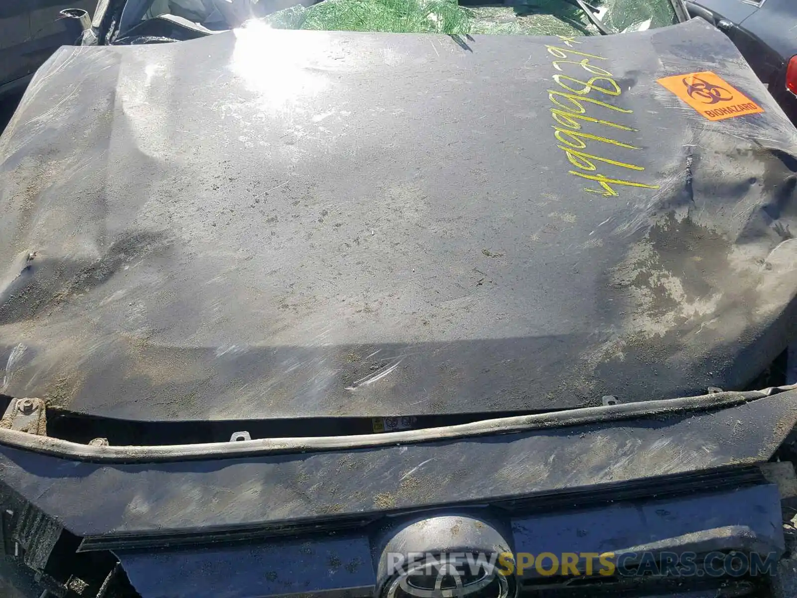 7 Photograph of a damaged car JTMA1RFV0KD026117 TOYOTA RAV4 XLE P 2019