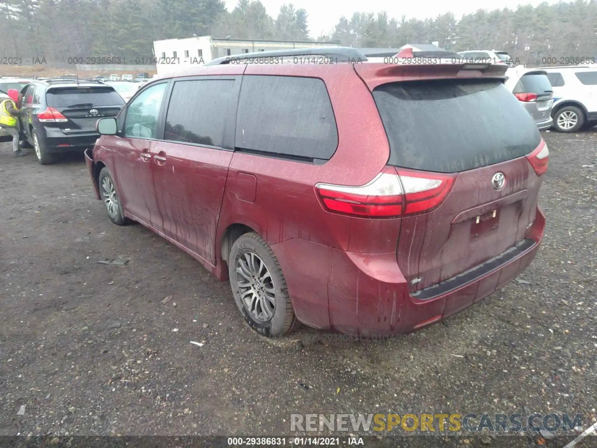 3 Фотография поврежденного автомобиля 5TDYZ3DC0KS981834 TOYOTA SIENNA 2019