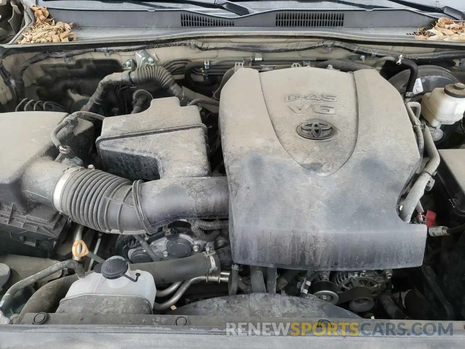 7 Photograph of a damaged car 3TMAZ5CN3KM098584 TOYOTA TACOMA 2019