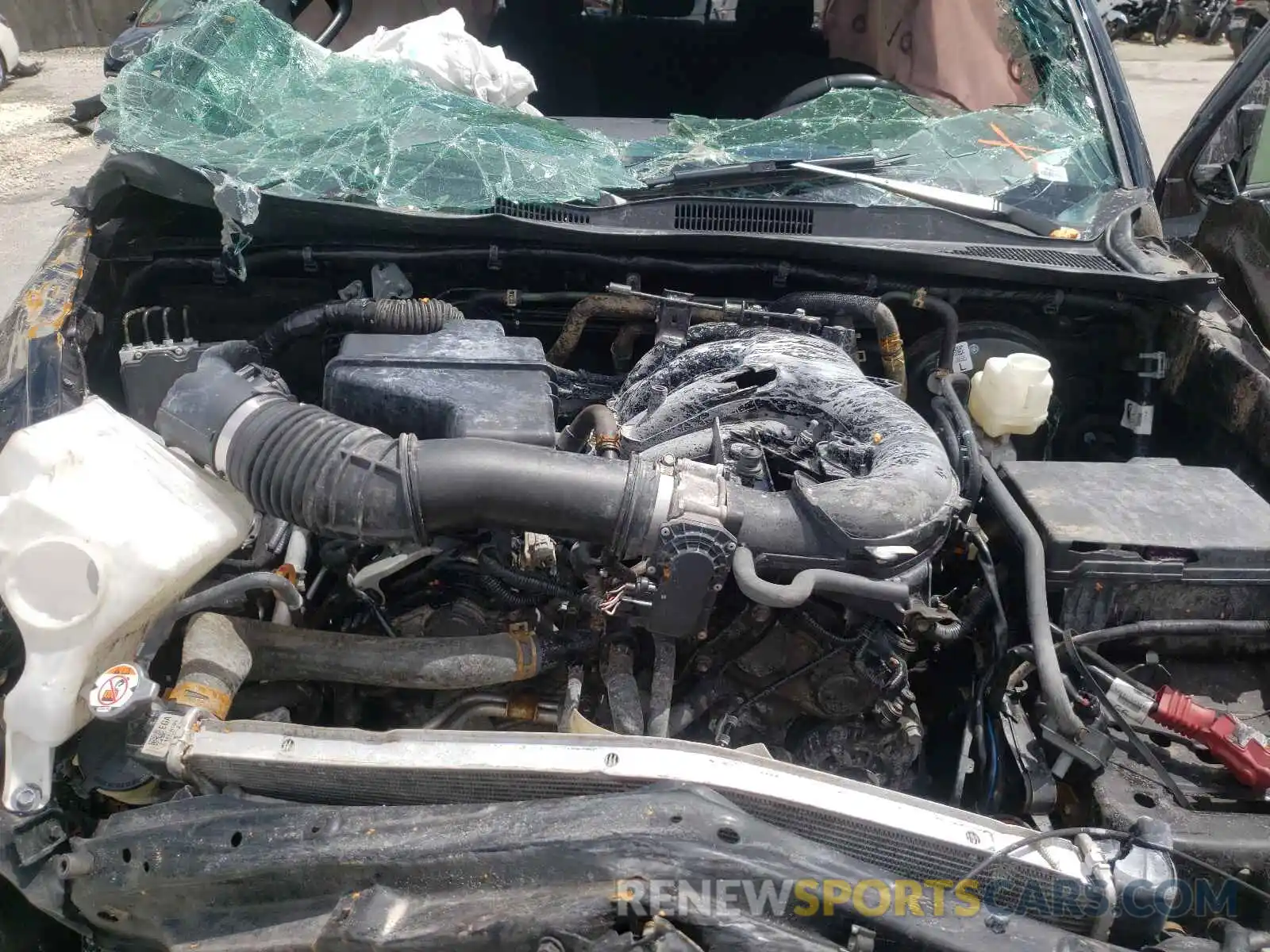 7 Photograph of a damaged car 3TMAZ5CN3KM111835 TOYOTA TACOMA 2019