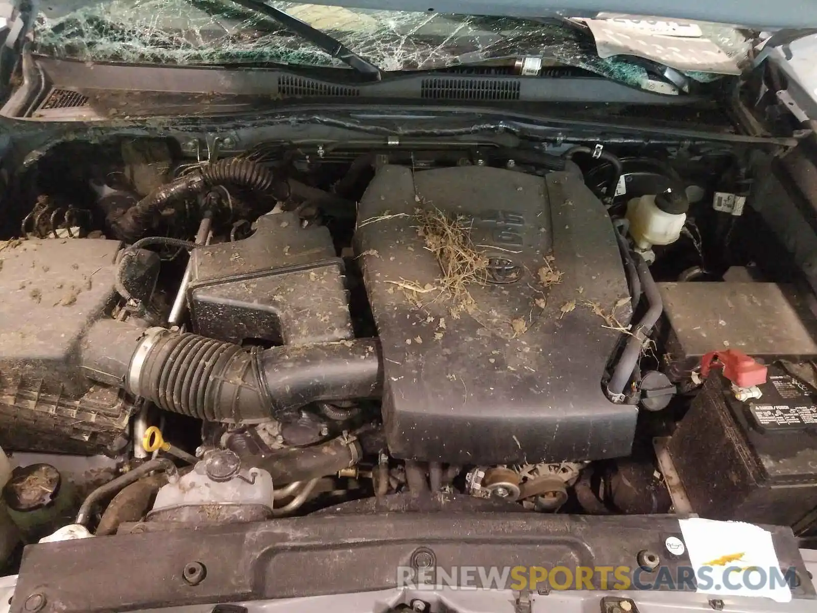 7 Photograph of a damaged car 3TMAZ5CN8KM096751 TOYOTA TACOMA 2019