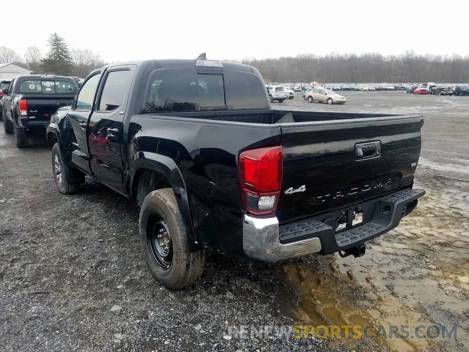 3 Photograph of a damaged car 3TMCZ5AN0KM191896 TOYOTA TACOMA 2019