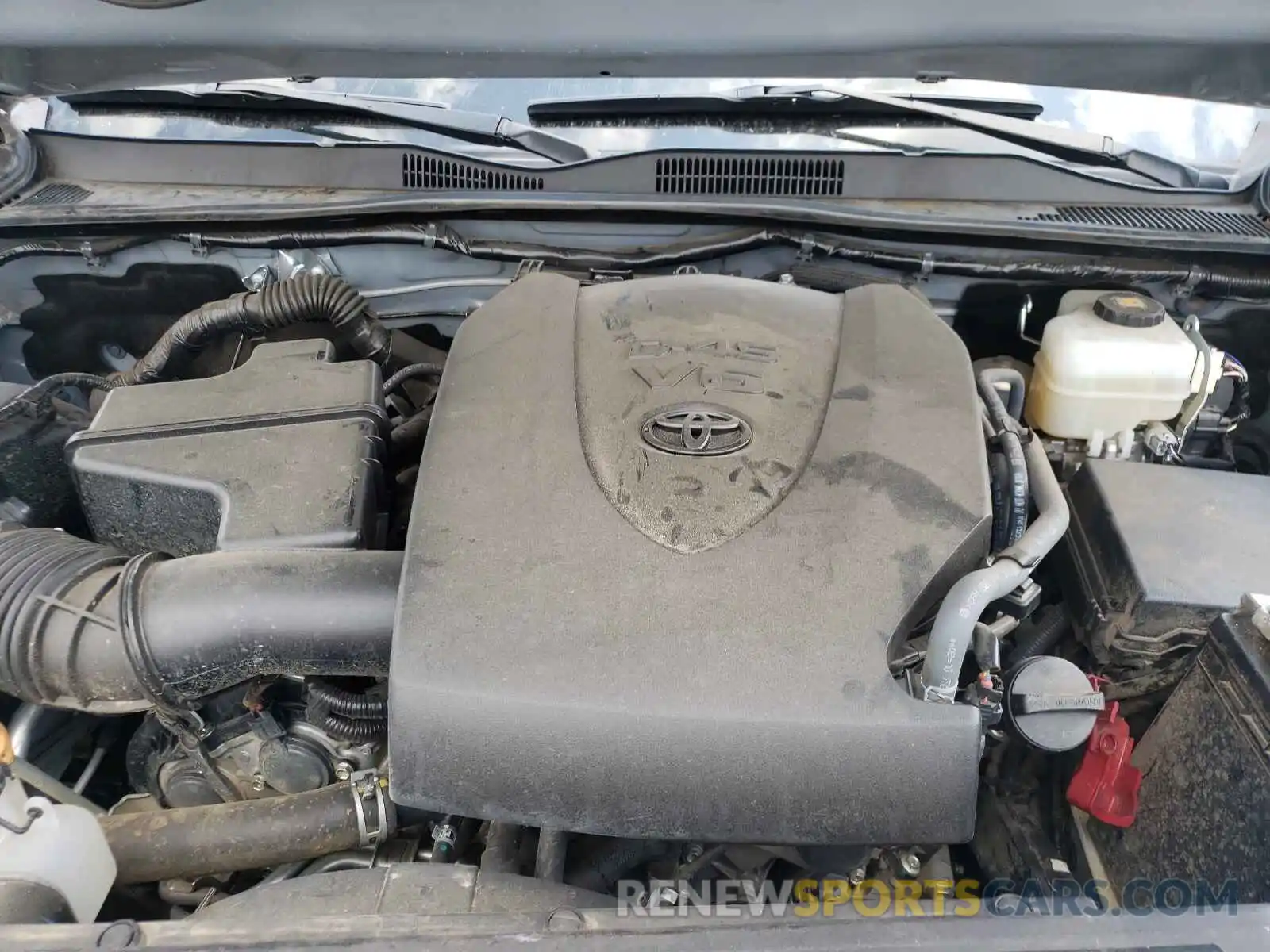 7 Photograph of a damaged car 3TMCZ5AN0KM229319 TOYOTA TACOMA 2019