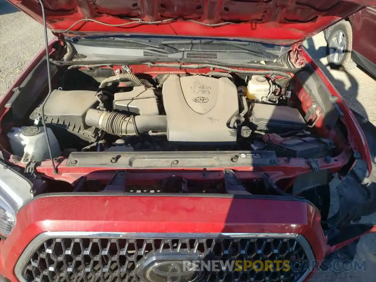 7 Photograph of a damaged car 3TMCZ5AN0KM245147 TOYOTA TACOMA 2019