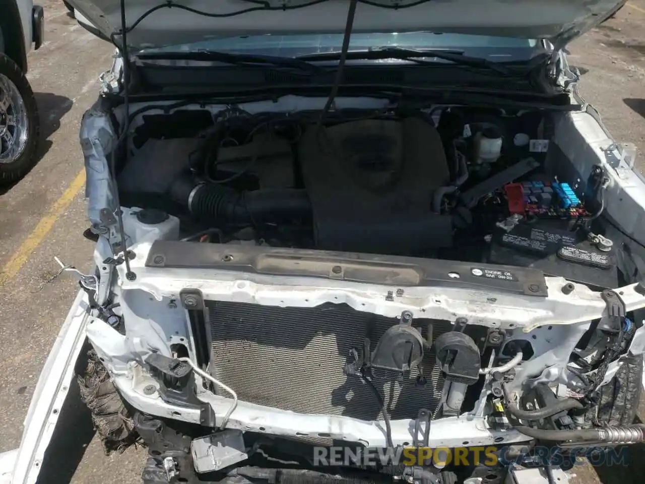 7 Photograph of a damaged car 3TMCZ5AN0KM271540 TOYOTA TACOMA 2019