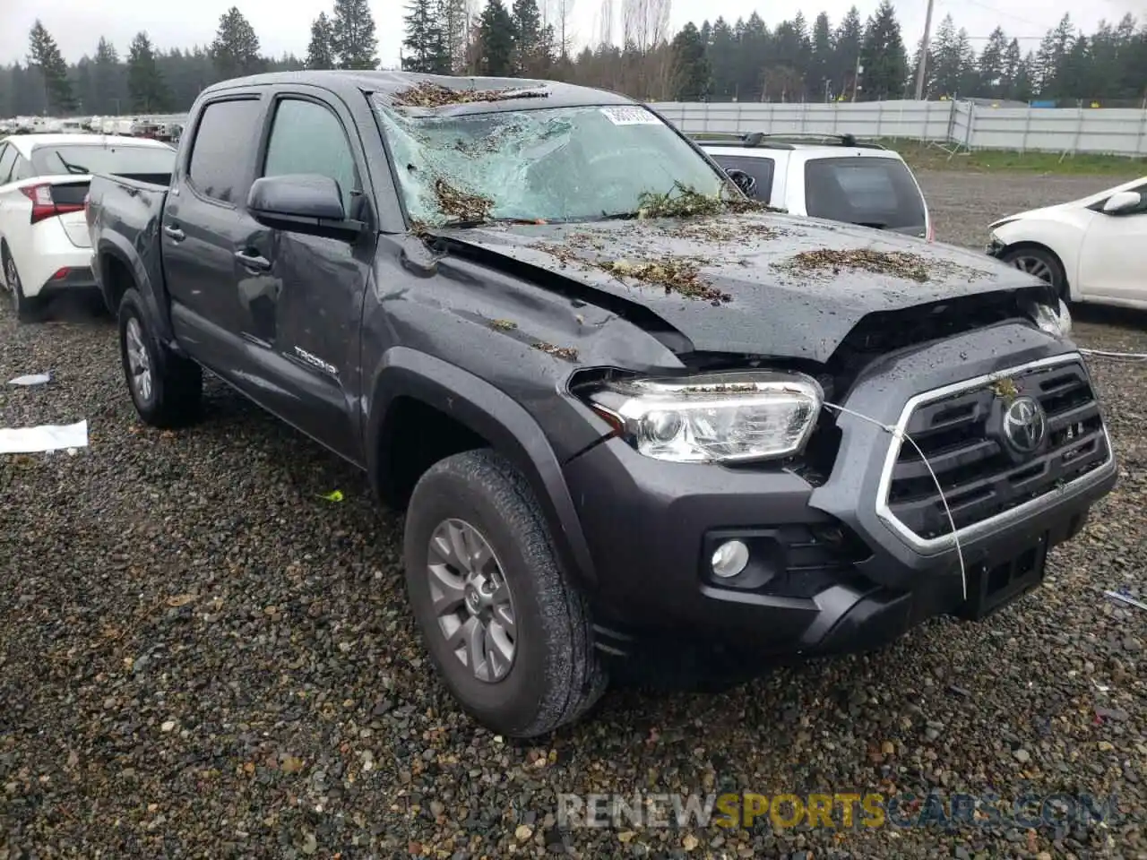 1 Photograph of a damaged car 3TMCZ5AN0KM282439 TOYOTA TACOMA 2019