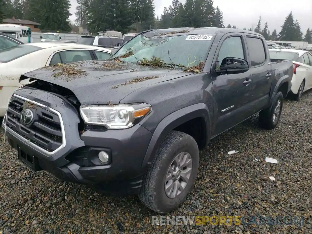 2 Photograph of a damaged car 3TMCZ5AN0KM282439 TOYOTA TACOMA 2019