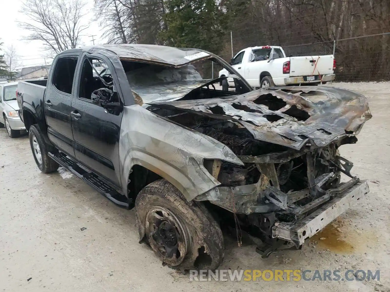 1 Photograph of a damaged car 3TMCZ5AN1KM211203 TOYOTA TACOMA 2019