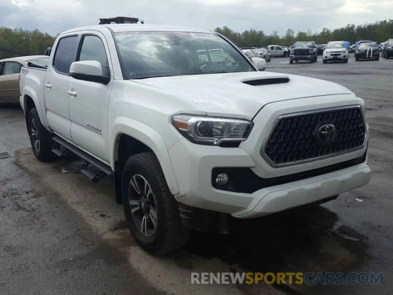 1 Photograph of a damaged car 3TMCZ5AN1KM219771 TOYOTA TACOMA 2019