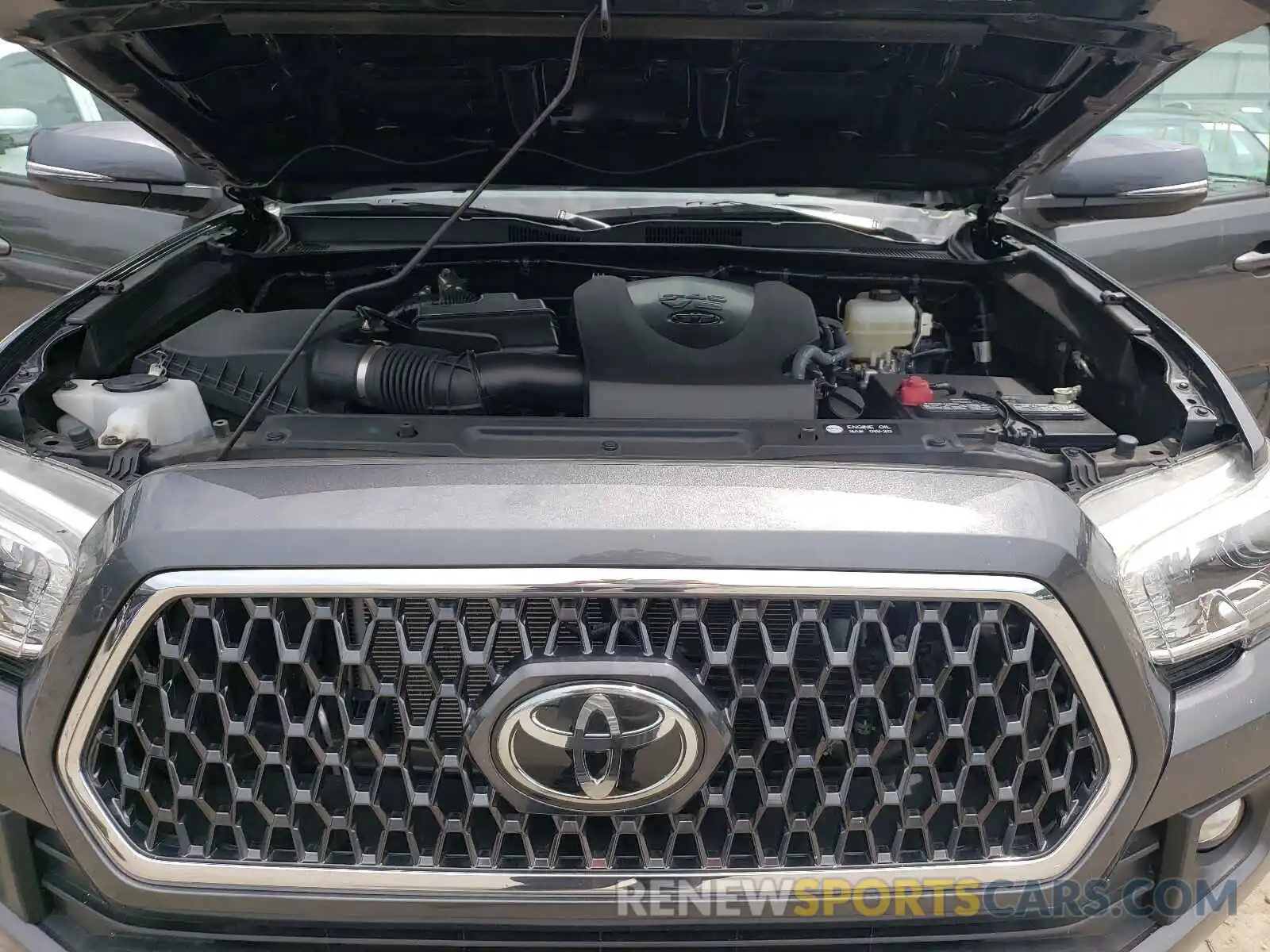 7 Photograph of a damaged car 3TMCZ5AN2KM204051 TOYOTA TACOMA 2019