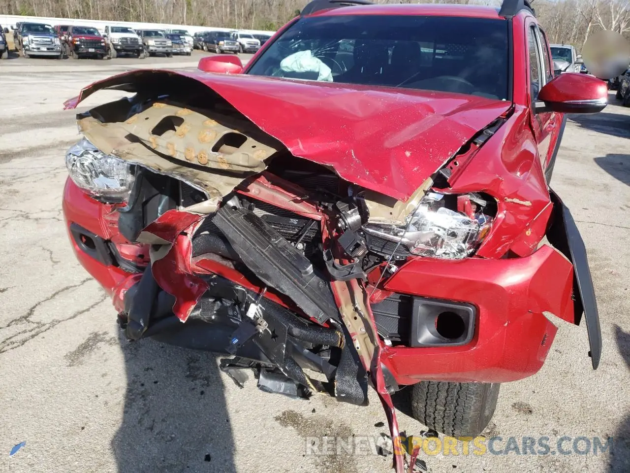 9 Photograph of a damaged car 3TMCZ5AN2KM244548 TOYOTA TACOMA 2019