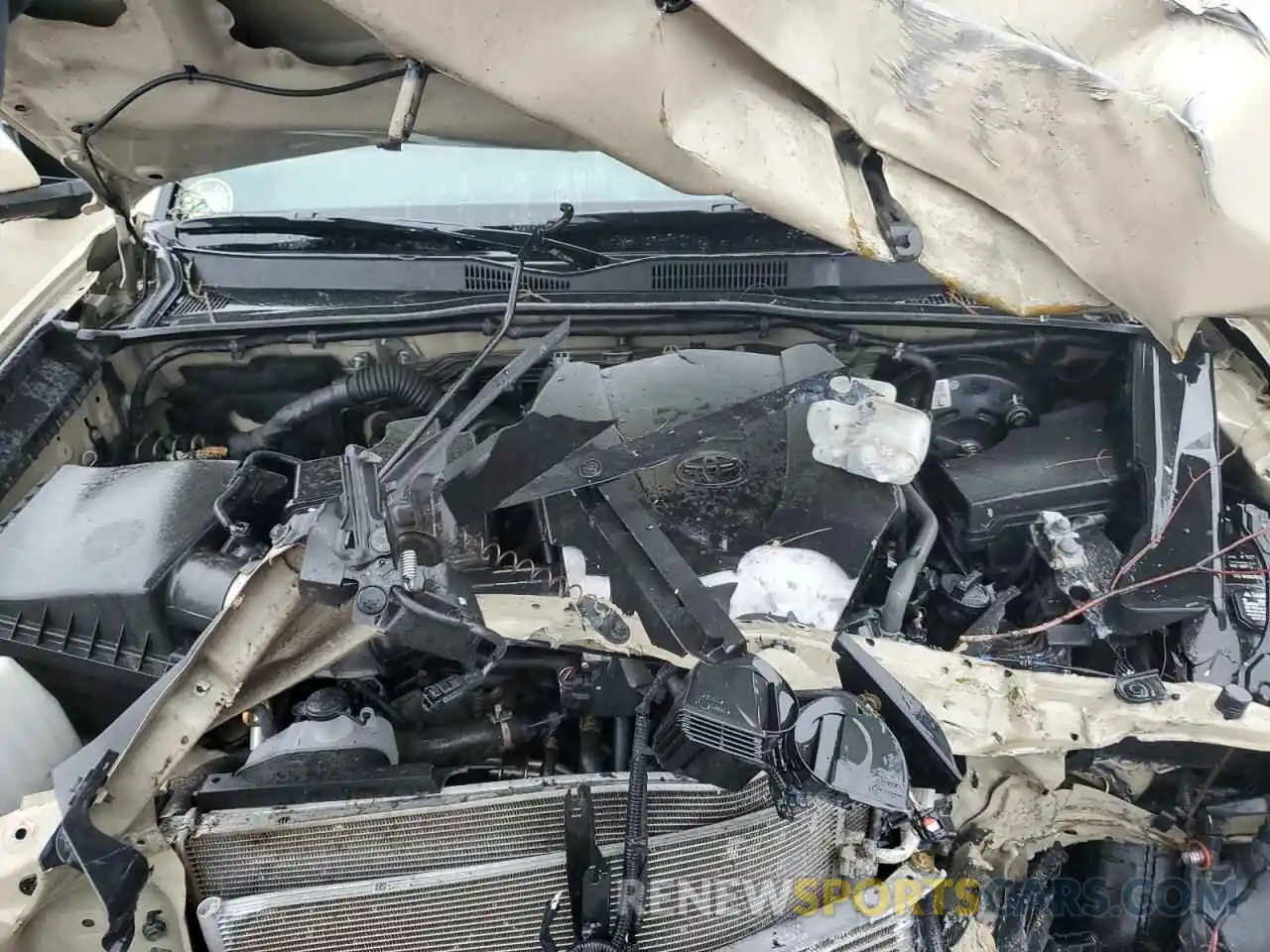 11 Photograph of a damaged car 3TMCZ5AN2KM270812 TOYOTA TACOMA 2019