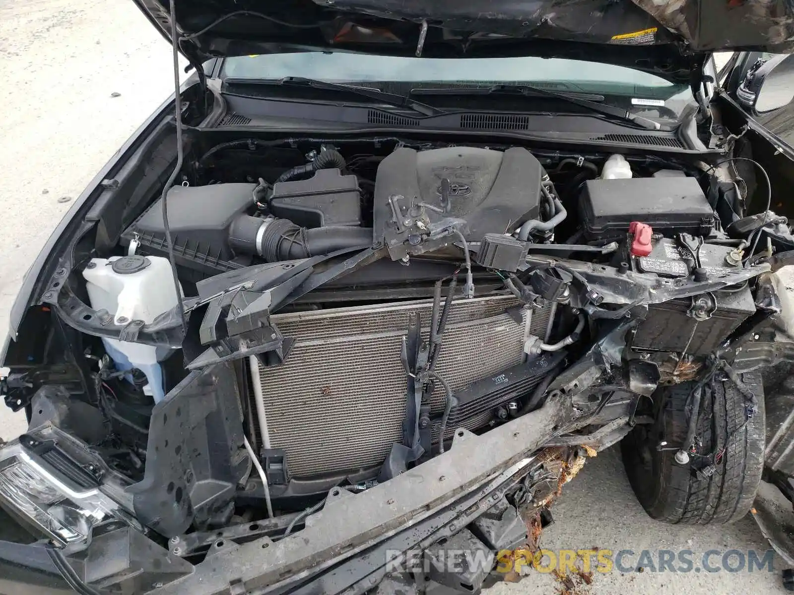 7 Photograph of a damaged car 3TMCZ5AN3KM223420 TOYOTA TACOMA 2019