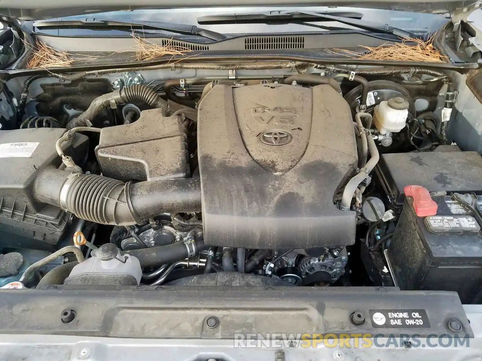 7 Photograph of a damaged car 3TMCZ5AN3KM226172 TOYOTA TACOMA 2019