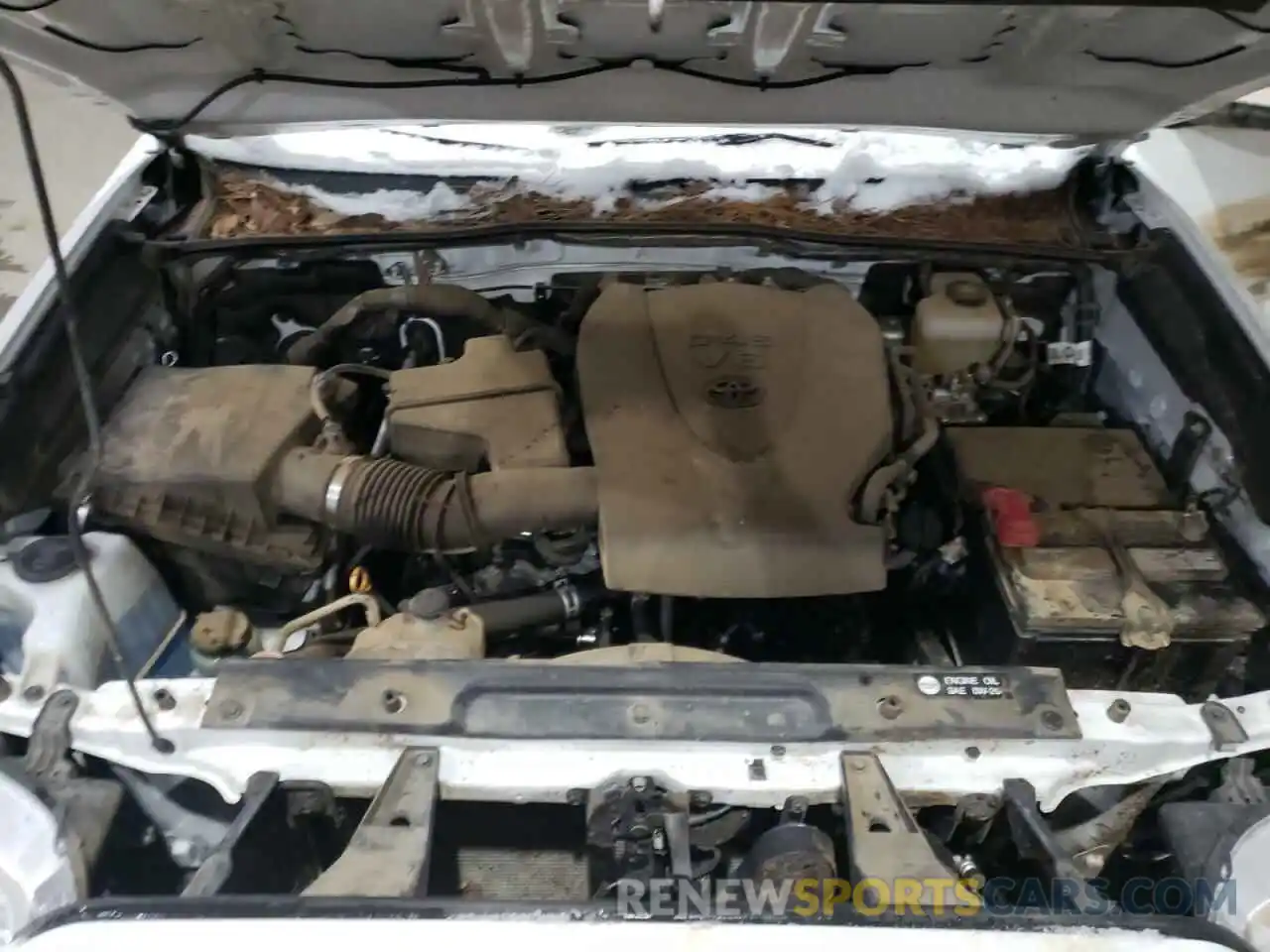 7 Photograph of a damaged car 3TMCZ5AN3KM282726 TOYOTA TACOMA 2019