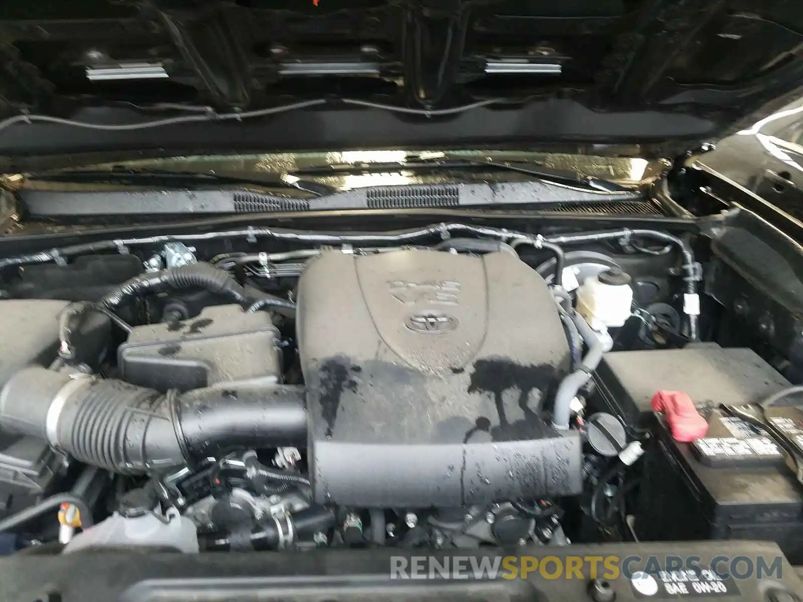 7 Photograph of a damaged car 3TMCZ5AN4KM191688 TOYOTA TACOMA 2019