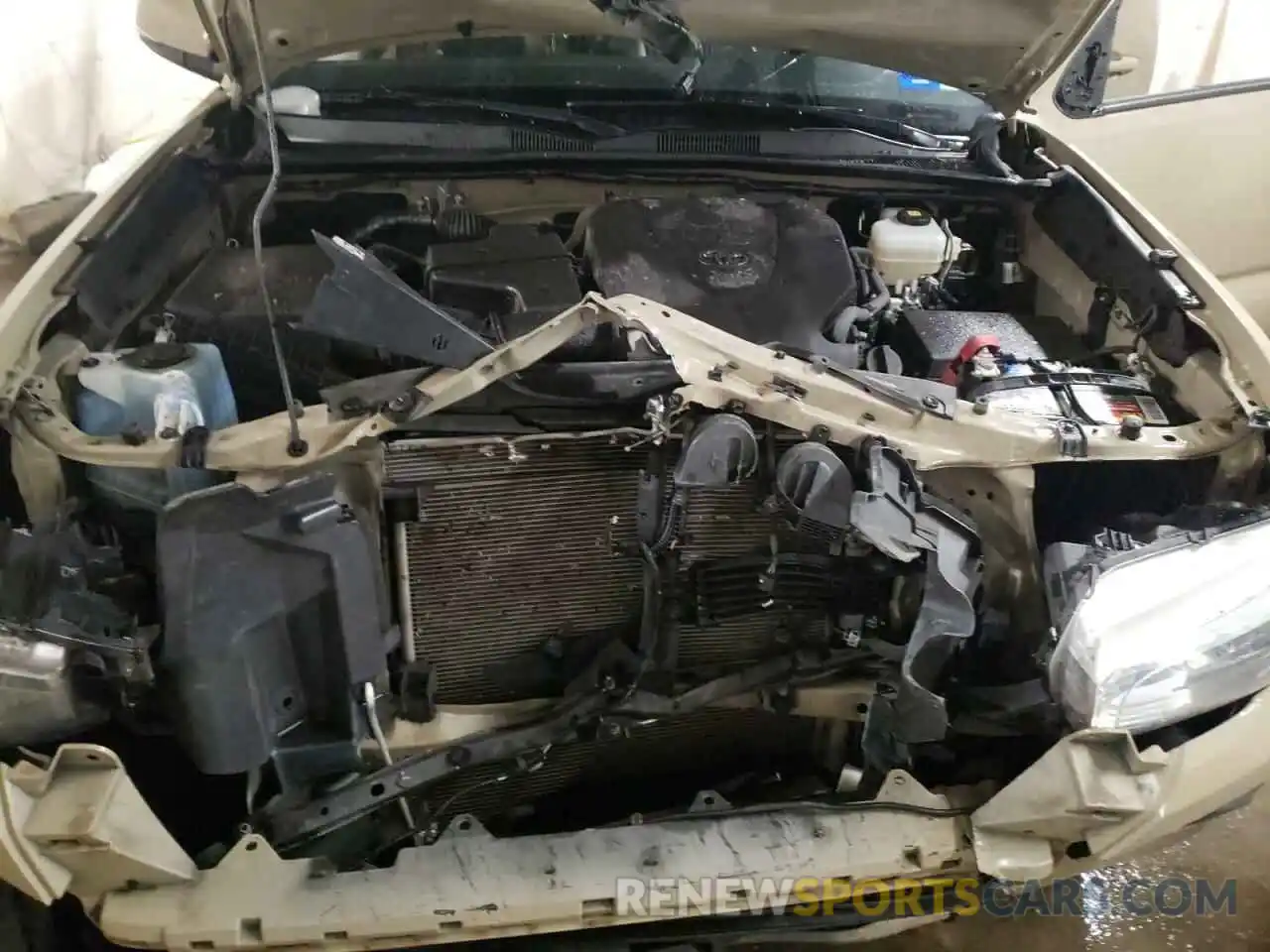 7 Photograph of a damaged car 3TMCZ5AN4KM207632 TOYOTA TACOMA 2019