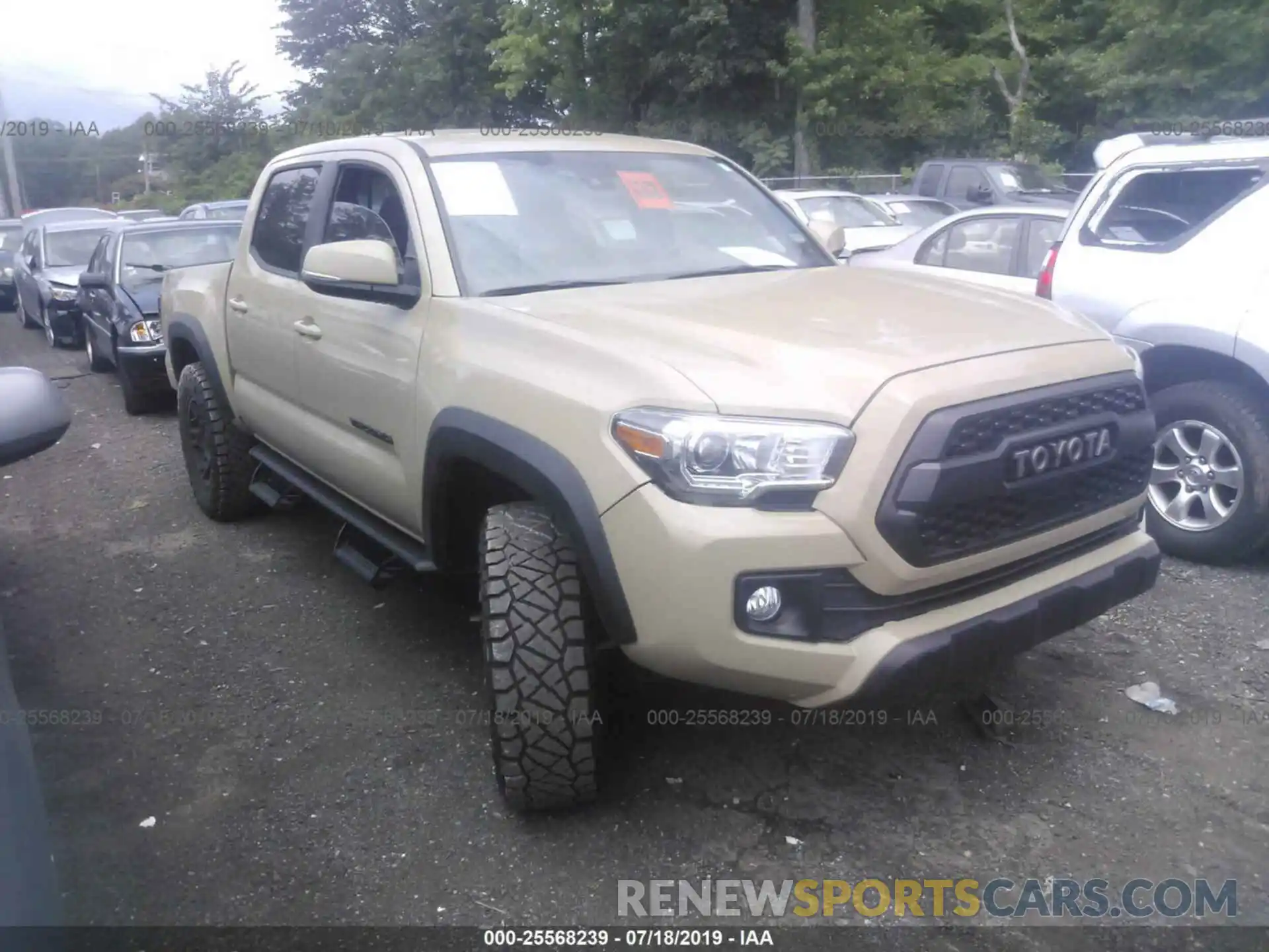 1 Photograph of a damaged car 3TMCZ5AN4KM229467 TOYOTA TACOMA 2019