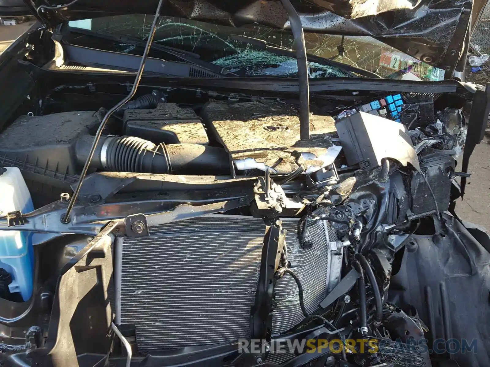 7 Photograph of a damaged car 3TMCZ5AN4KM232854 TOYOTA TACOMA 2019