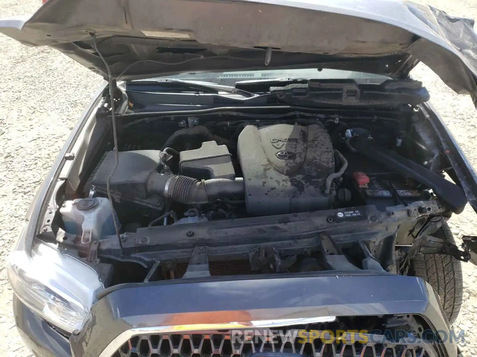 7 Photograph of a damaged car 3TMCZ5AN4KM257253 TOYOTA TACOMA 2019