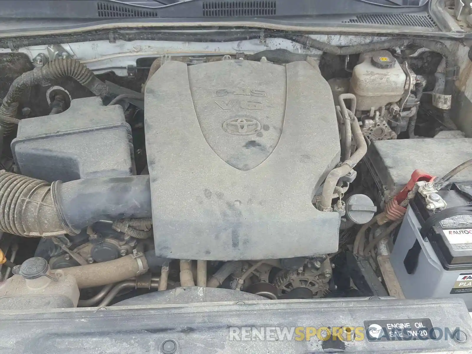 7 Photograph of a damaged car 3TMCZ5AN5KM219420 TOYOTA TACOMA 2019