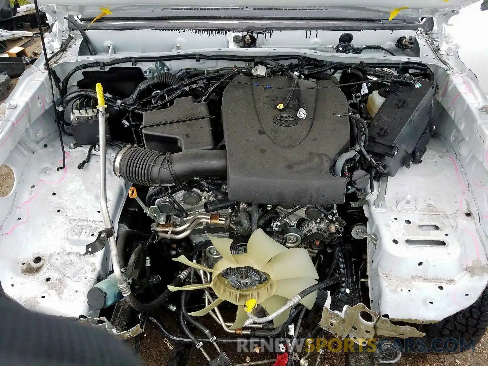 7 Photograph of a damaged car 3TMCZ5AN5KM221670 TOYOTA TACOMA 2019