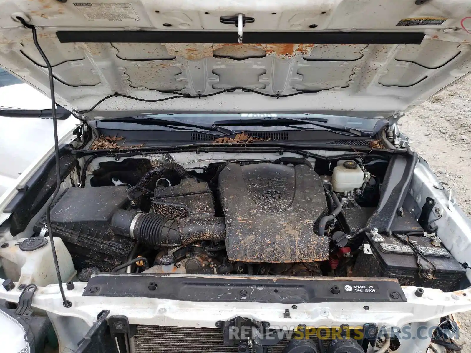 7 Photograph of a damaged car 3TMCZ5AN5KM236413 TOYOTA TACOMA 2019