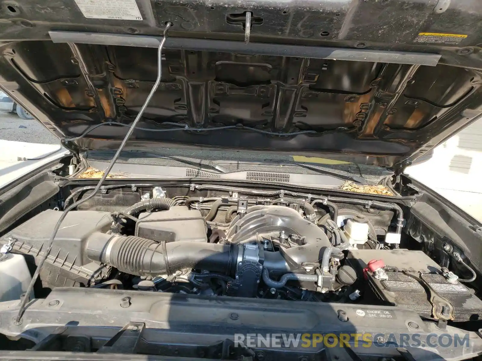 7 Photograph of a damaged car 3TMCZ5AN5KM249162 TOYOTA TACOMA 2019