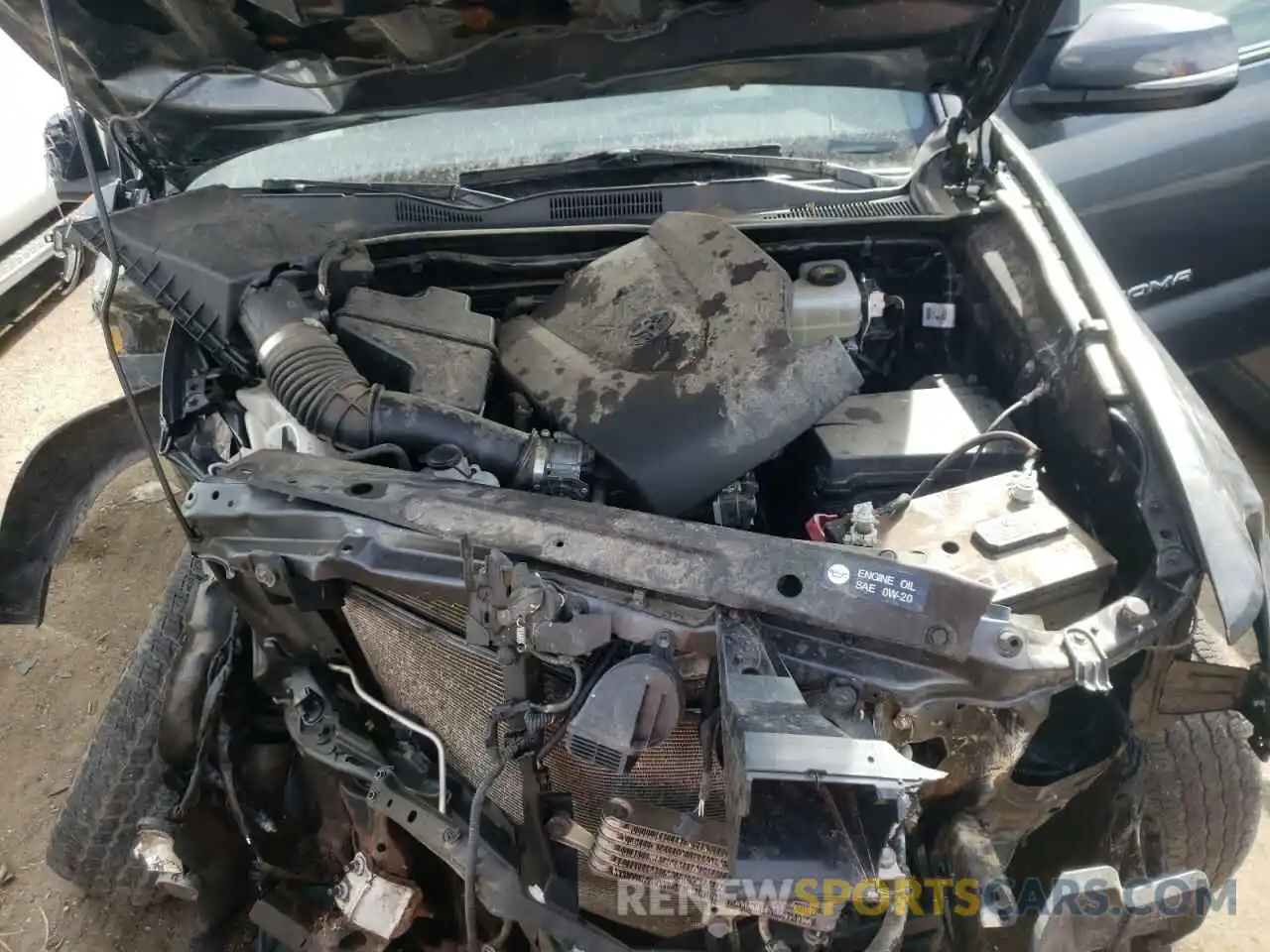 7 Photograph of a damaged car 3TMCZ5AN5KM261585 TOYOTA TACOMA 2019