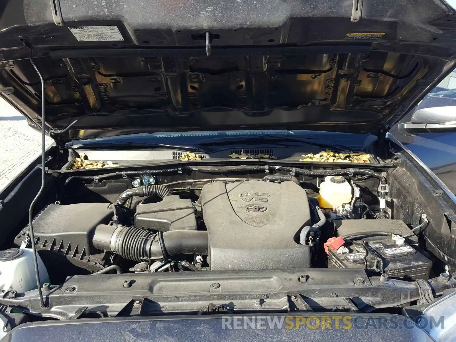 7 Photograph of a damaged car 3TMCZ5AN5KM285420 TOYOTA TACOMA 2019