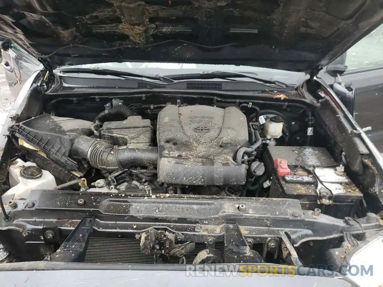 7 Photograph of a damaged car 3TMCZ5AN5KM286471 TOYOTA TACOMA 2019